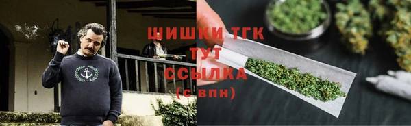 apvp Иннополис