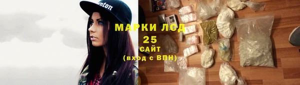 скорость Каменка