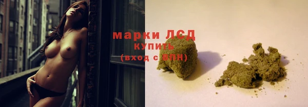 мдпв Карпинск
