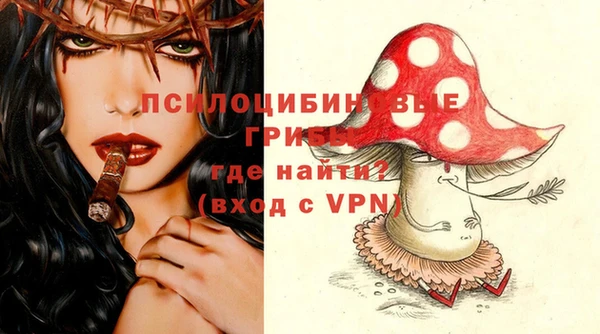 герыч Каменногорск