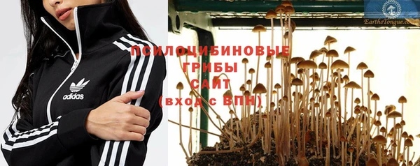 винт Каменск-Шахтинский