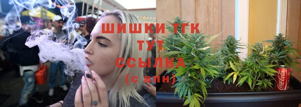 скорость Каменка