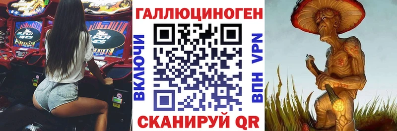 Галлюциногенные грибы Psilocybe  Крымск 
