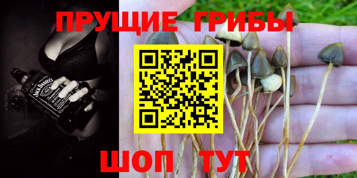 где найти наркотики  Вход с VPN  Крымск  Галлюциногенные грибы ЛСД  Псилоцибиновые грибы ЛСД 